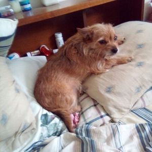 Meet your Posher, Ed